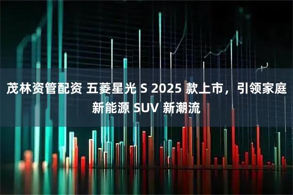 茂林资管配资 五菱星光 S 2025 款上市，引领家庭新能源 SUV 新潮流