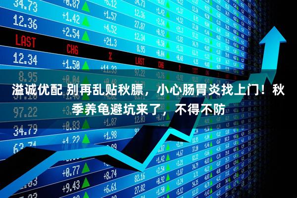 溢诚优配 别再乱贴秋膘，小心肠胃炎找上门！秋季养龟避坑来了，不得不防